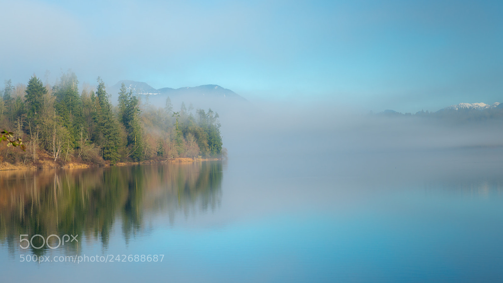 Nikon D800 sample photo. Winter fog photography