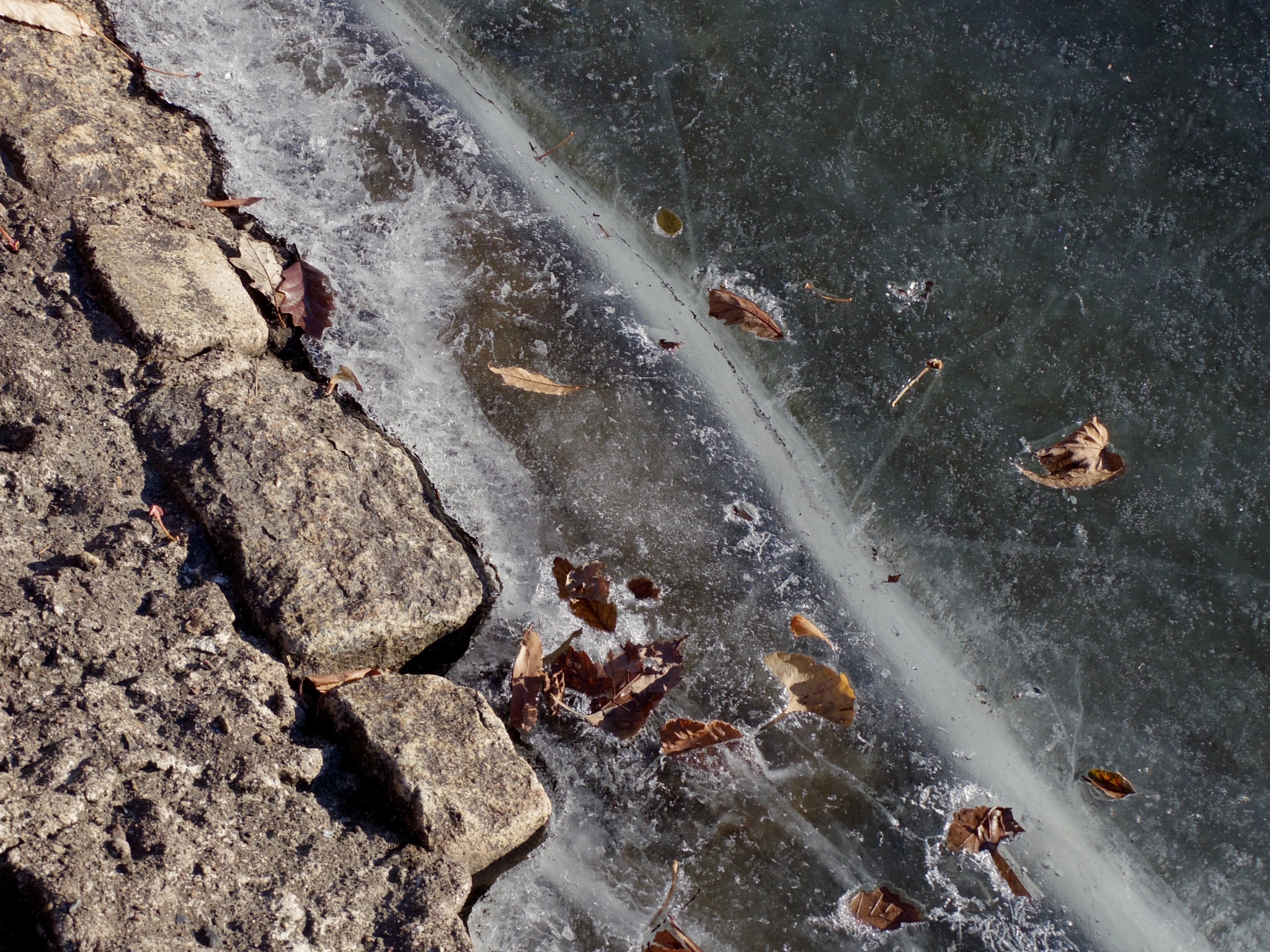 Pentax Q-S1 sample photo. Shore line photography