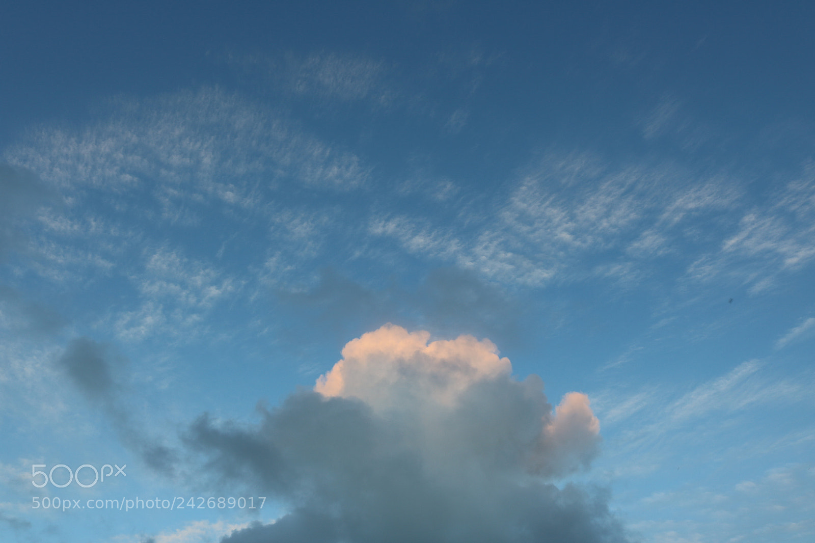 Canon EOS 750D (EOS Rebel T6i / EOS Kiss X8i) sample photo. Img photography
