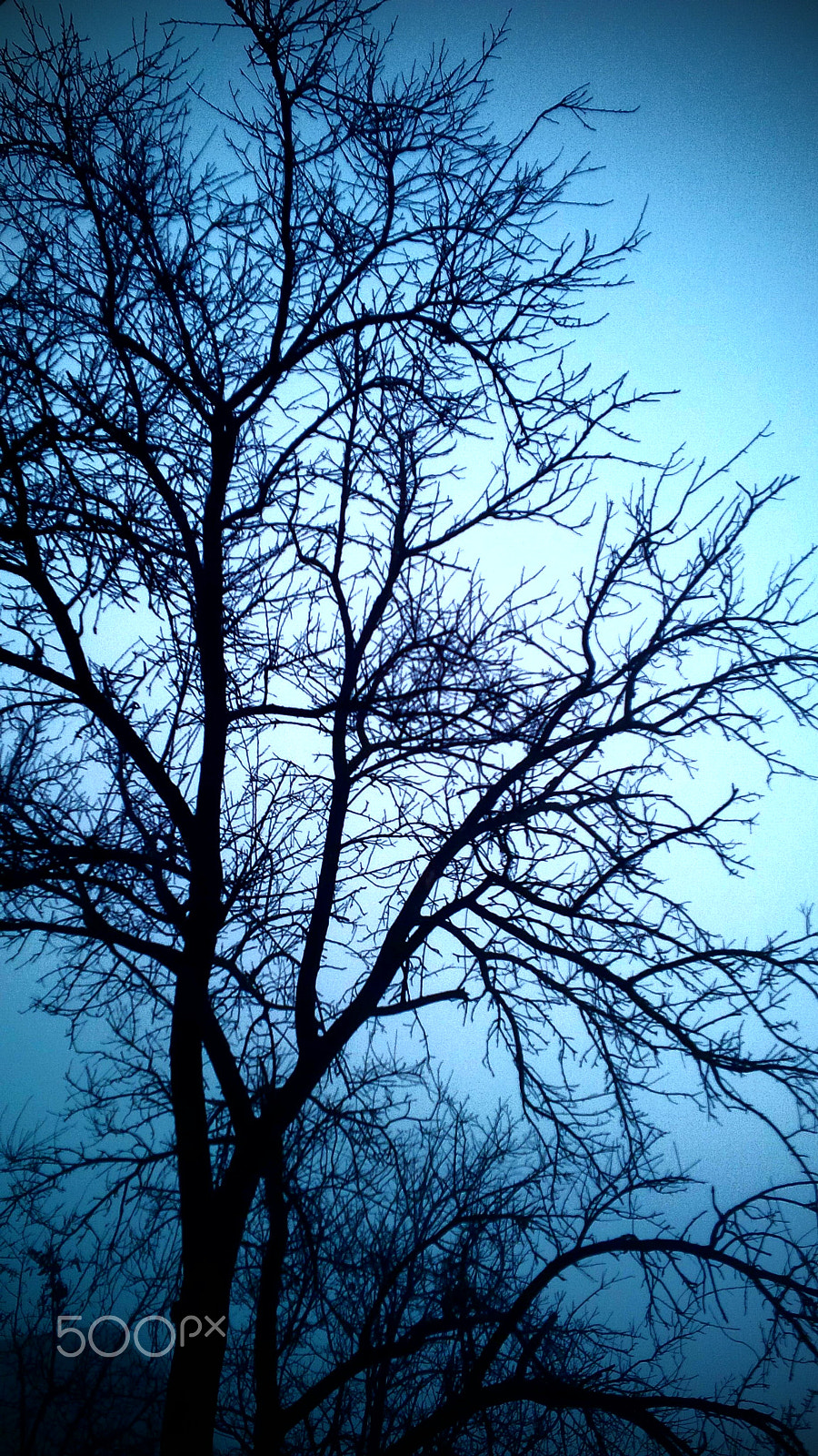 BlackBerry Z10 sample photo