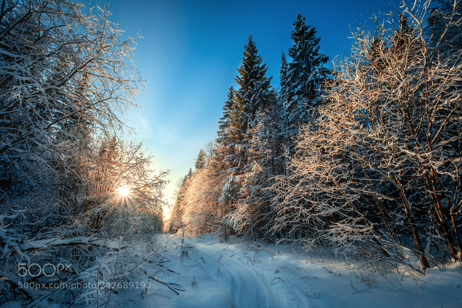 Fujifilm X-T20 sample photo. Winter trail photography