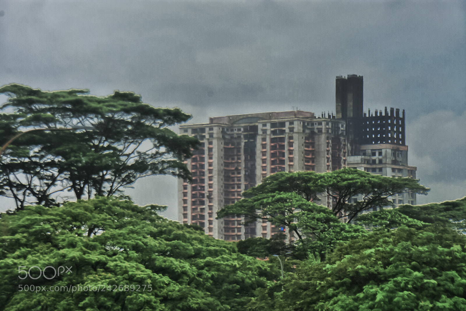 Nikon D7200 sample photo. Untitled photography