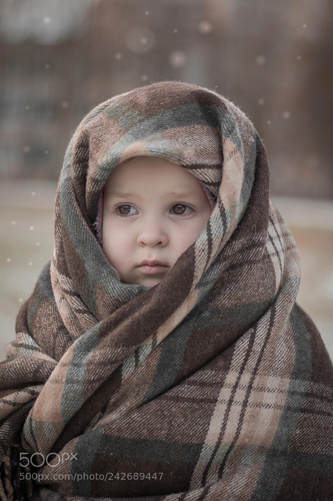 Nikon D3100 sample photo. The cold time. photography