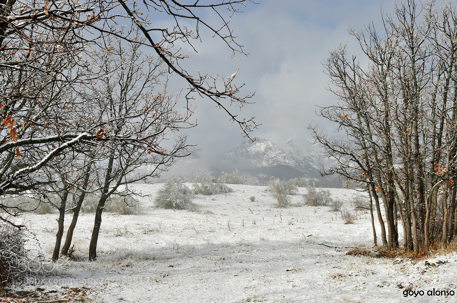Nikon D5000 sample photo. Puro invierno photography