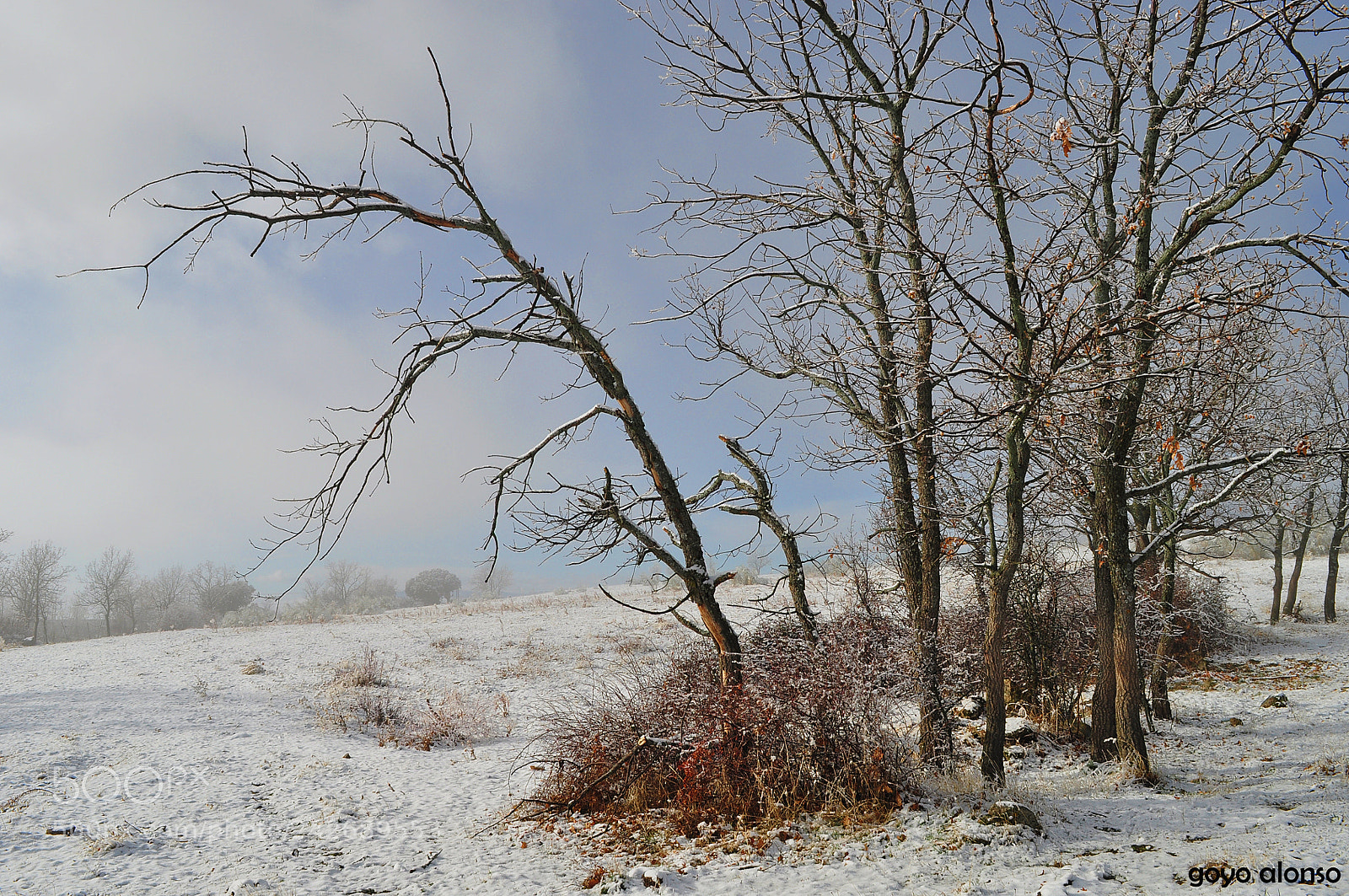 Nikon D5000 sample photo. Puro invierno photography