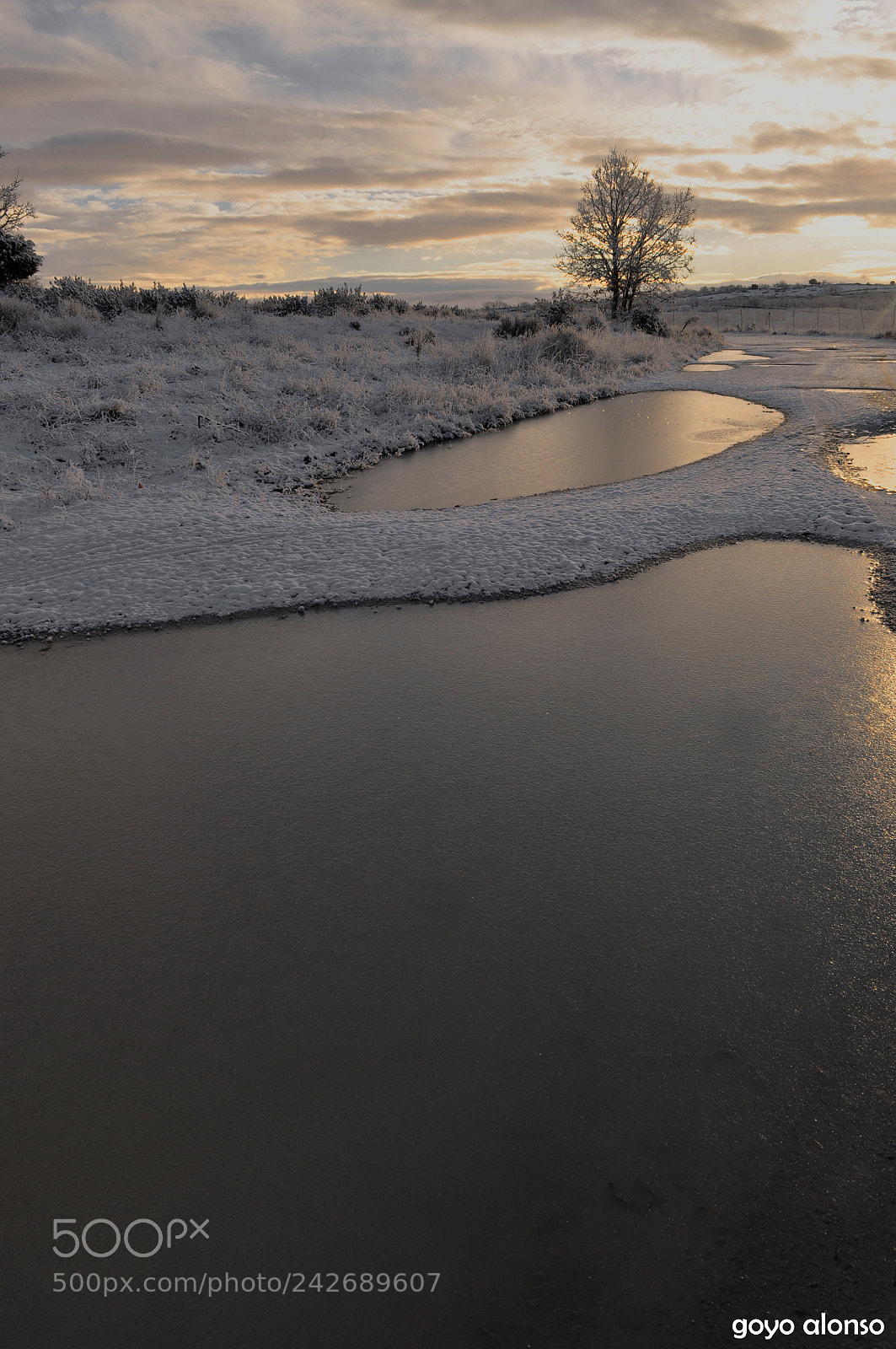 Nikon D5000 sample photo. Puro invierno photography