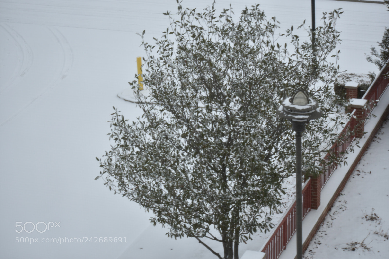 Nikon D3400 sample photo. Winter photography