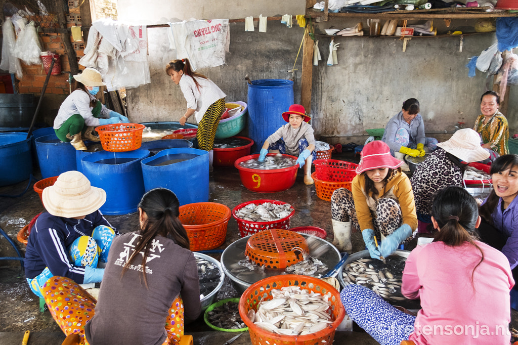 DSCF4906 by www.fretensonja.nl on 500px.com