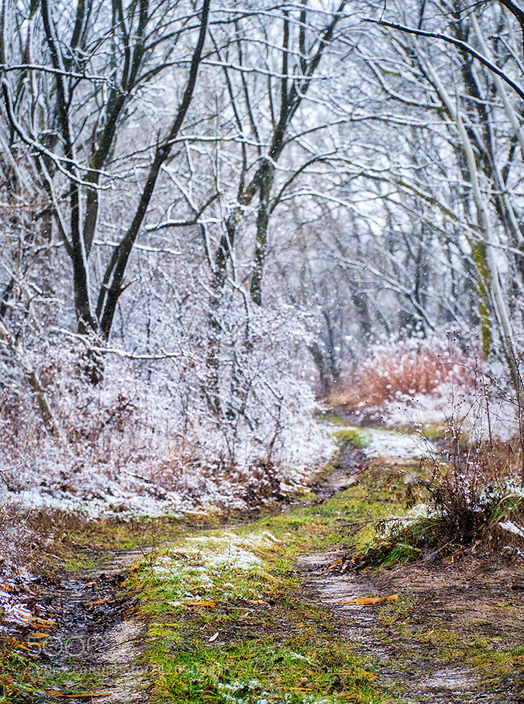 Sony a6300 sample photo. Snow queen photography
