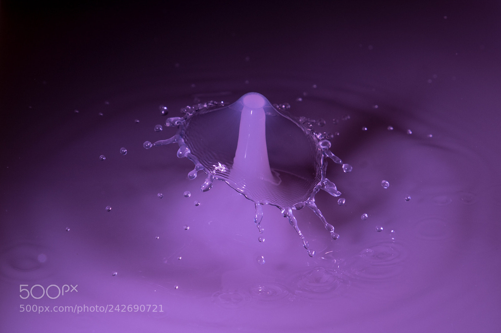 Canon EOS 6D Mark II sample photo. Purple umbrella photography