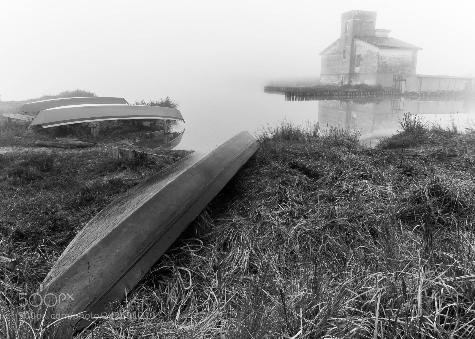 Nikon D7200 sample photo. Boats and fog photography