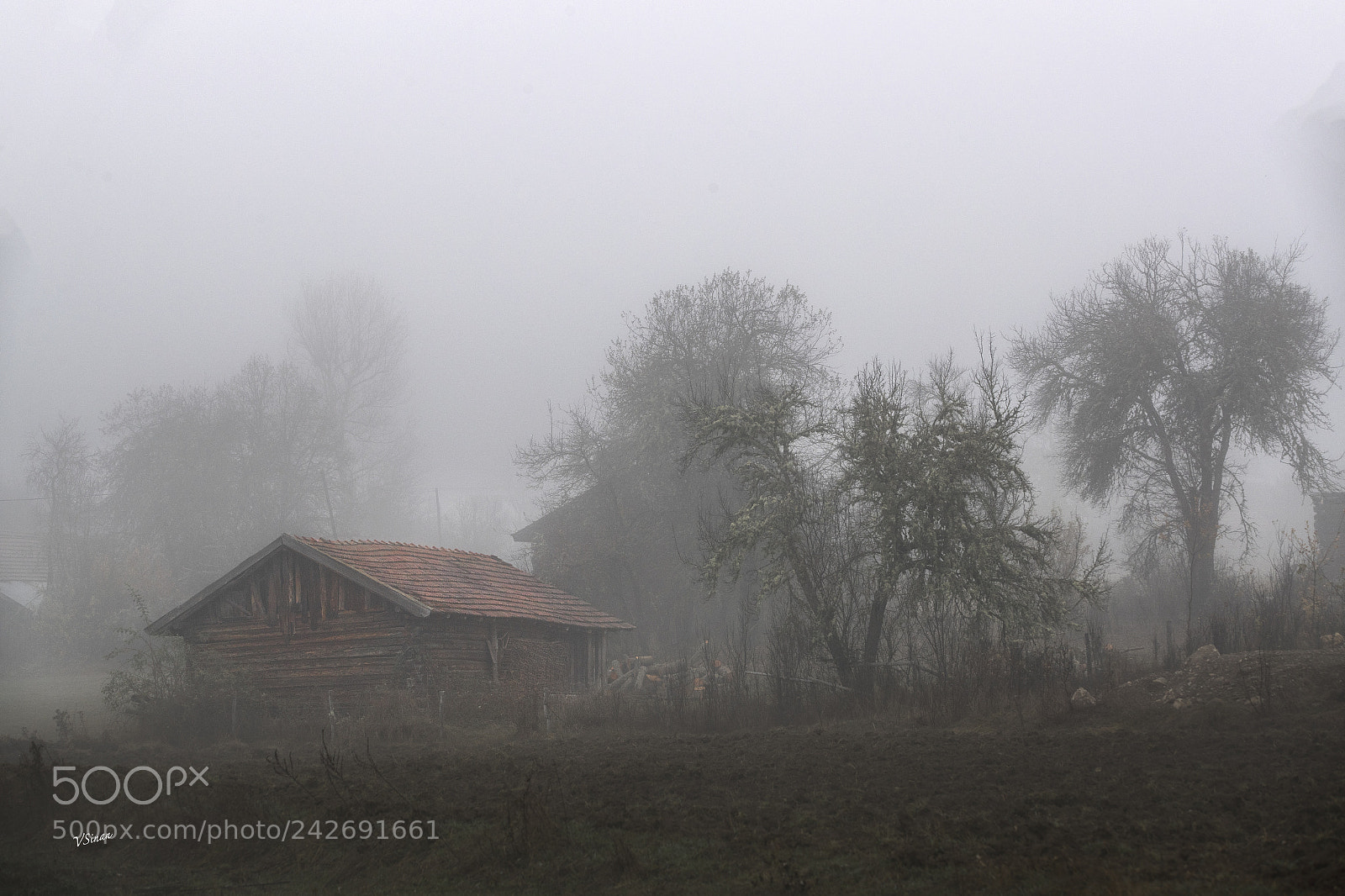 Canon EOS-1D X Mark II sample photo. Fog photography