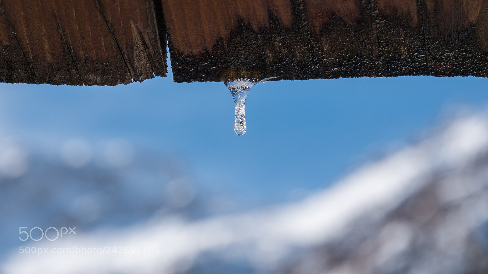 Panasonic Lumix DC-GH5 sample photo. Stalactite en formation photography