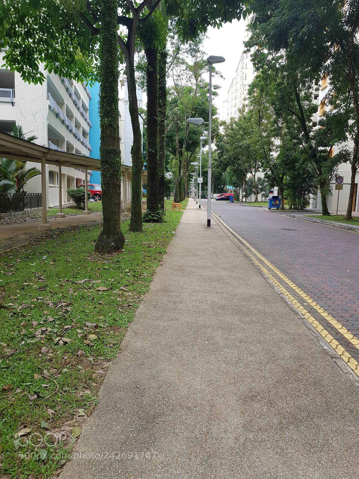 Samsung Galaxy S8 sample photo. 2. edgefield plains_1-point perspective photography