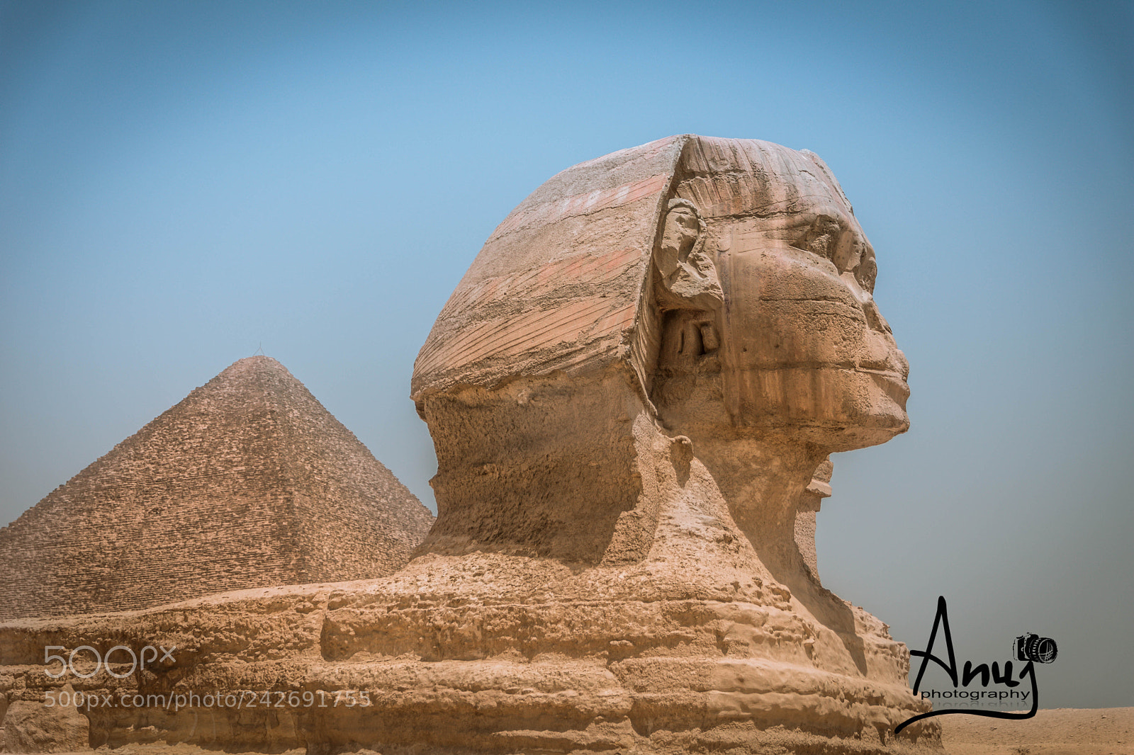 Nikon D7200 sample photo. Pyramid of giza and photography