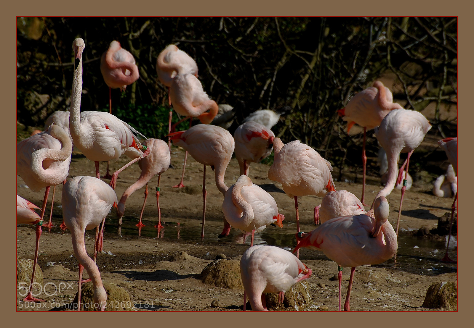 Nikon D60 sample photo. Untitled photography