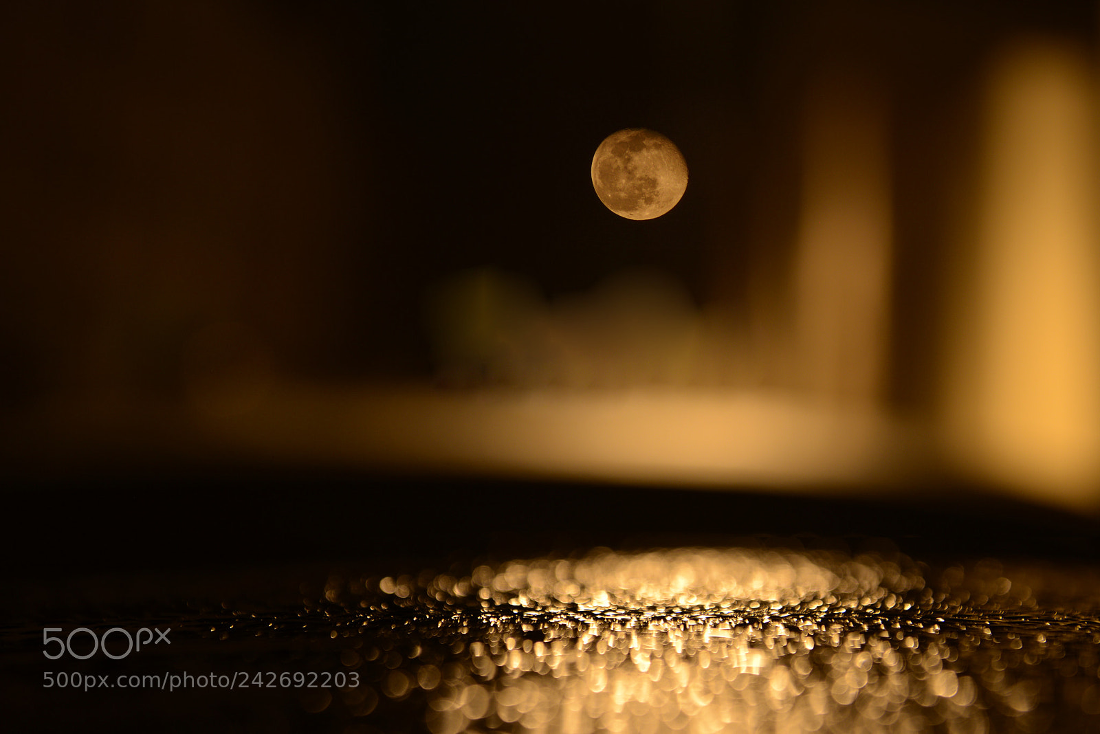 Nikon D610 sample photo. Moon night dsc6888 photography