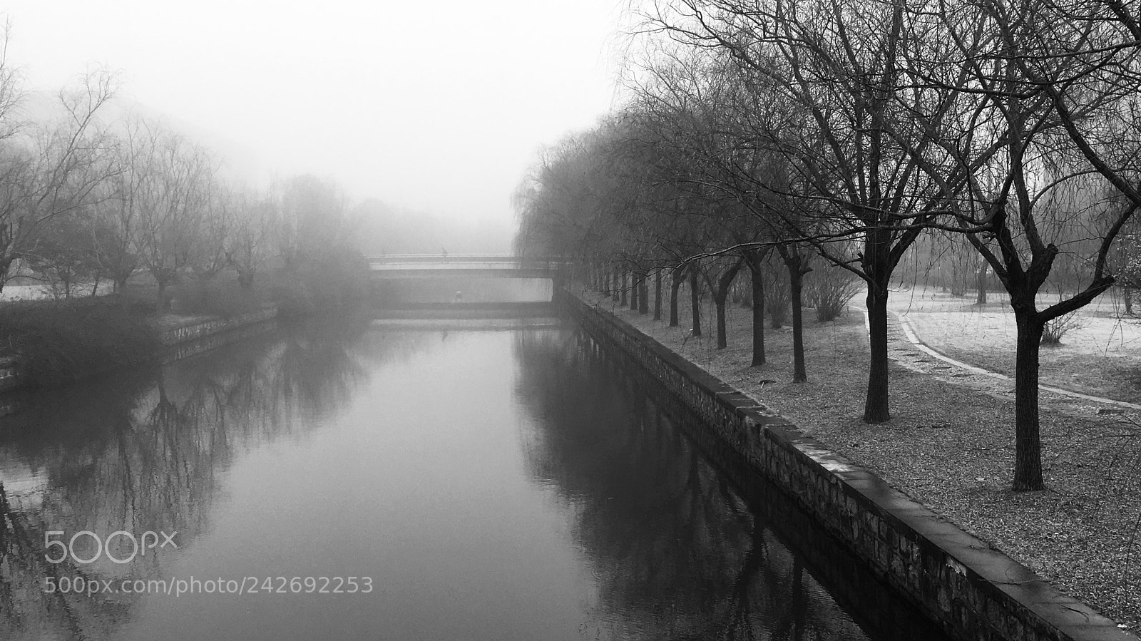 Apple iPhone 6s sample photo. Fog photography