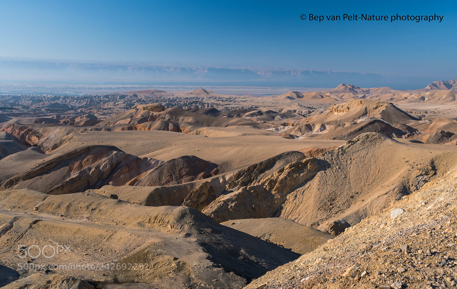 Nikon D500 sample photo. Dead sea valley, 430m photography