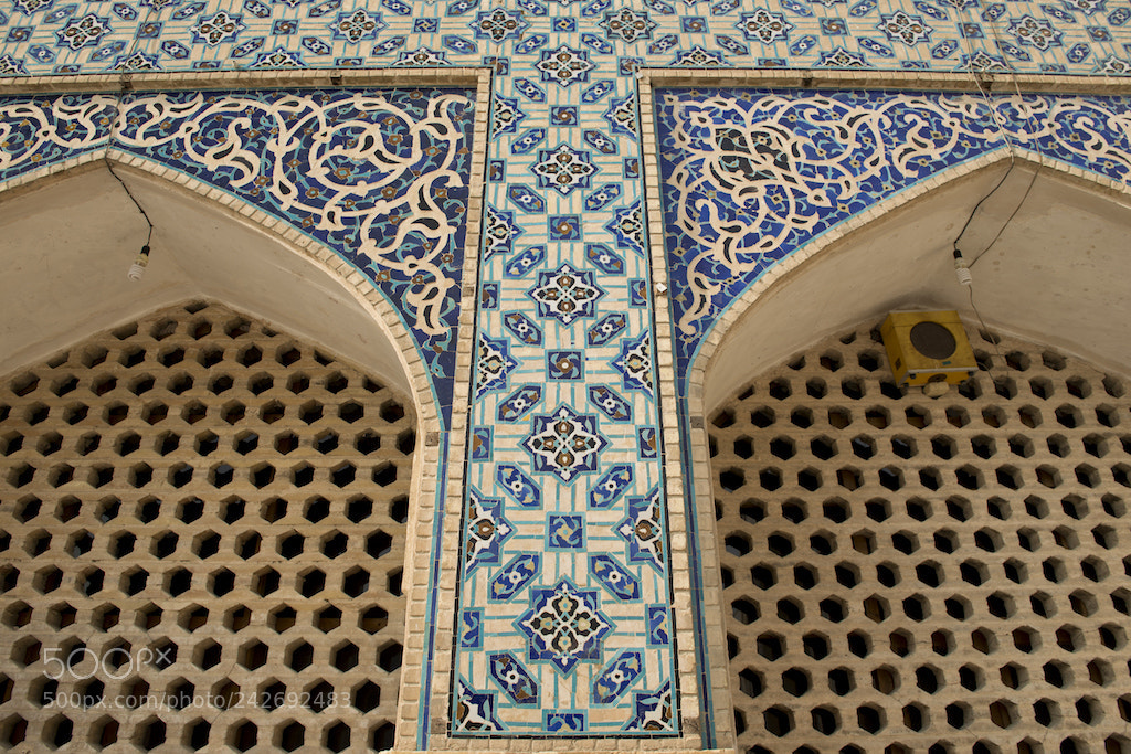 Nikon D610 sample photo. Admiring the detail photography