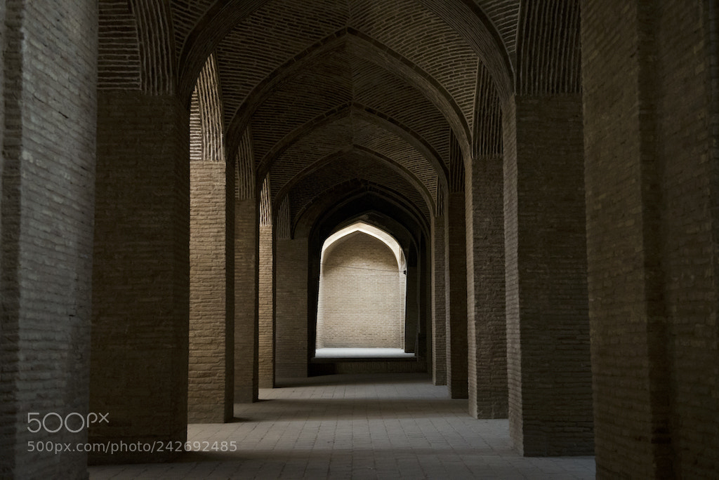 Nikon D610 sample photo. Path towards the light photography
