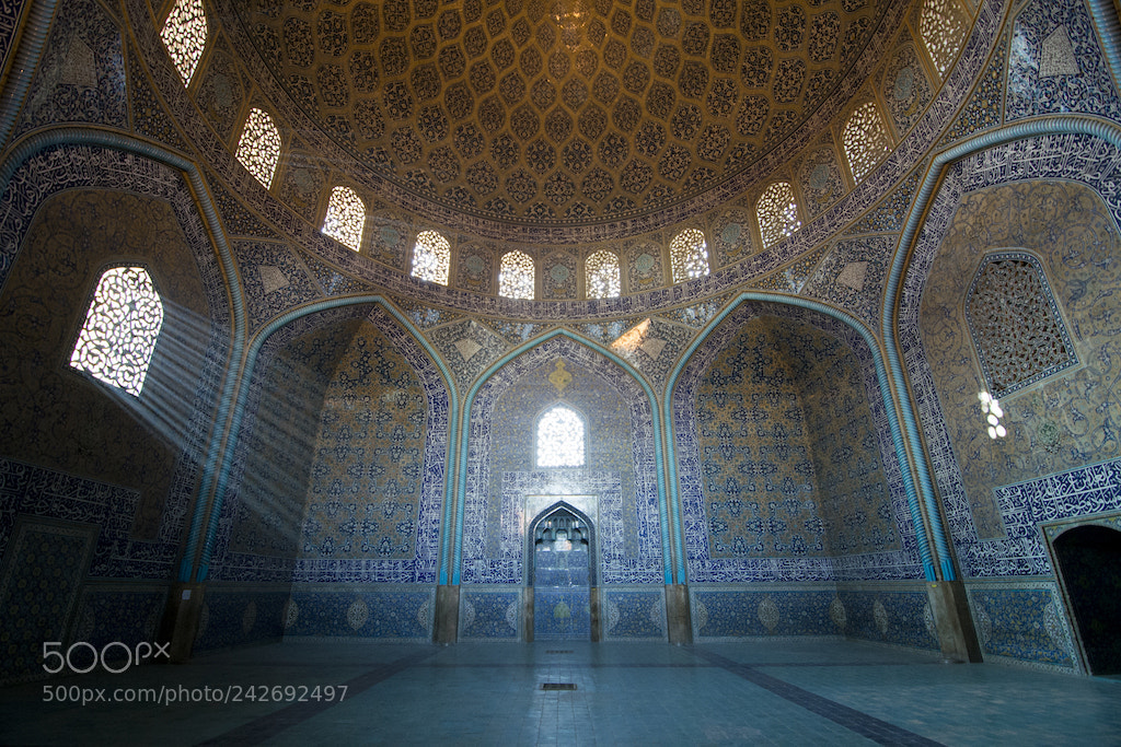 Nikon D610 sample photo. Symmetry photography
