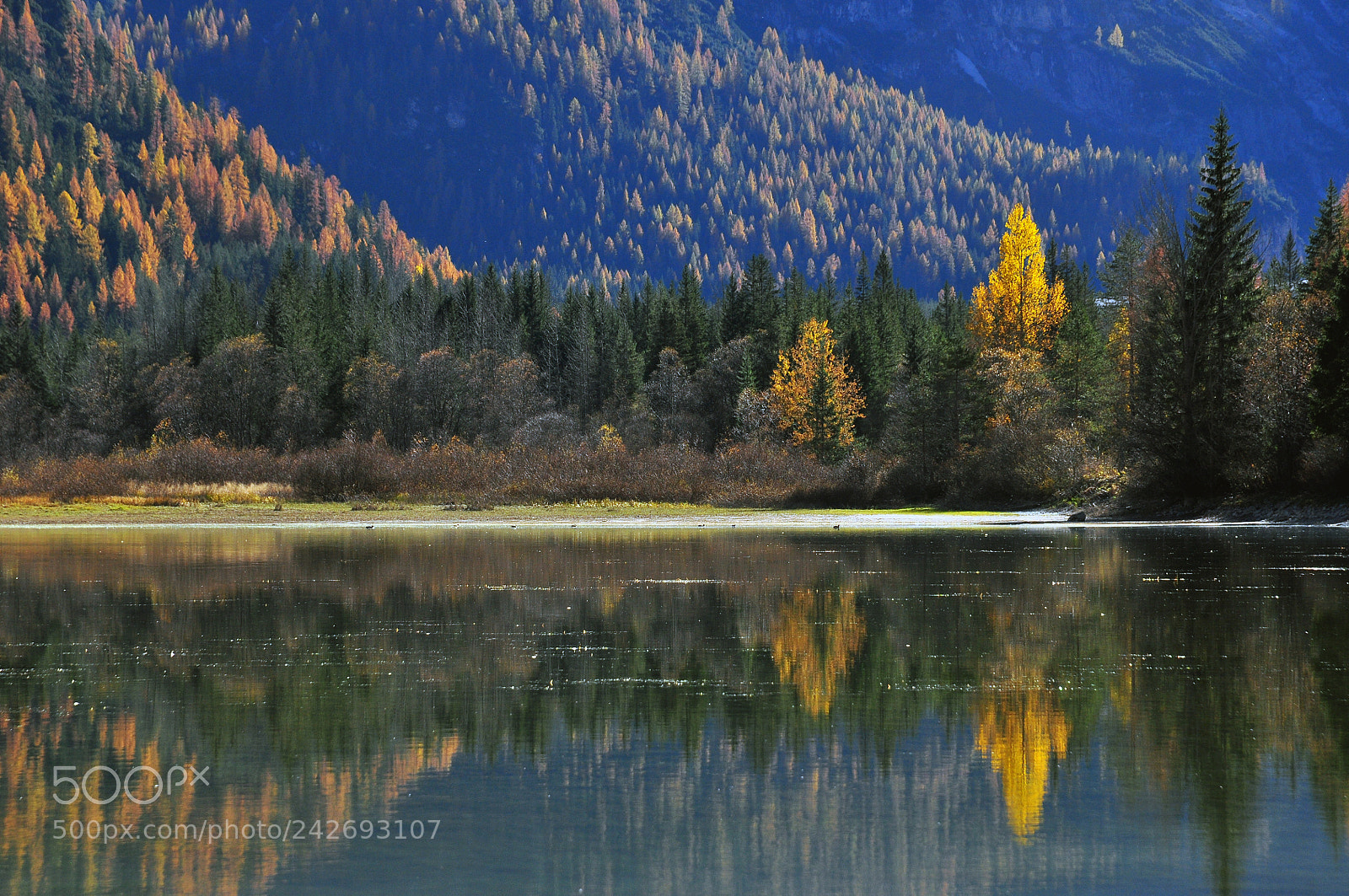 Nikon D90 sample photo. Autumn is dolomites photography