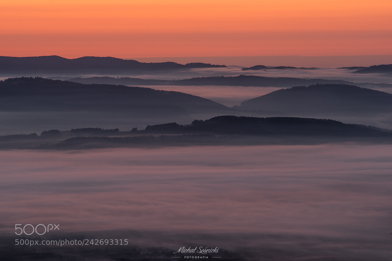 Pentax K-1 sample photo. Foggy morning... photography