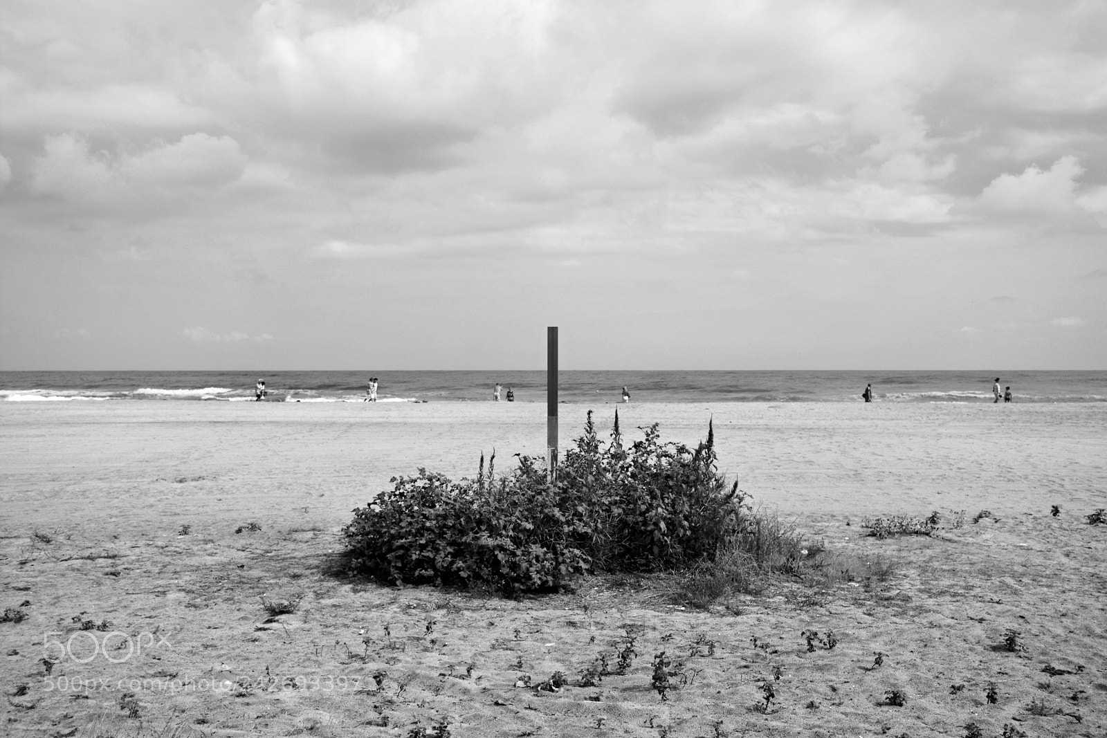 Nikon D7100 sample photo. #55 photography