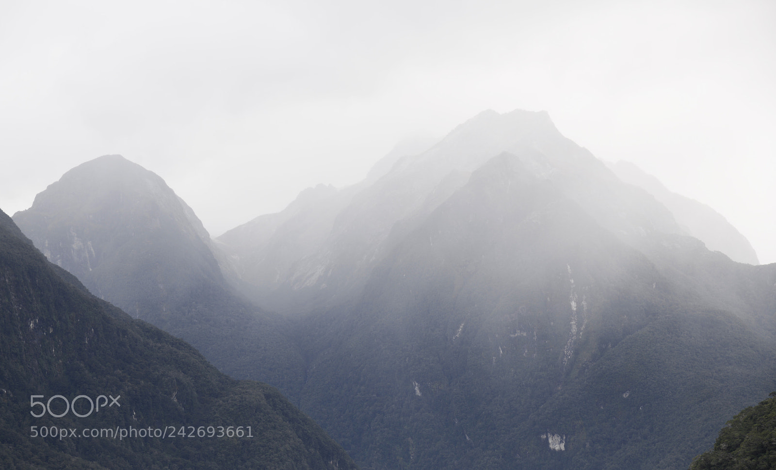 Nikon D610 sample photo. Vanishing photography