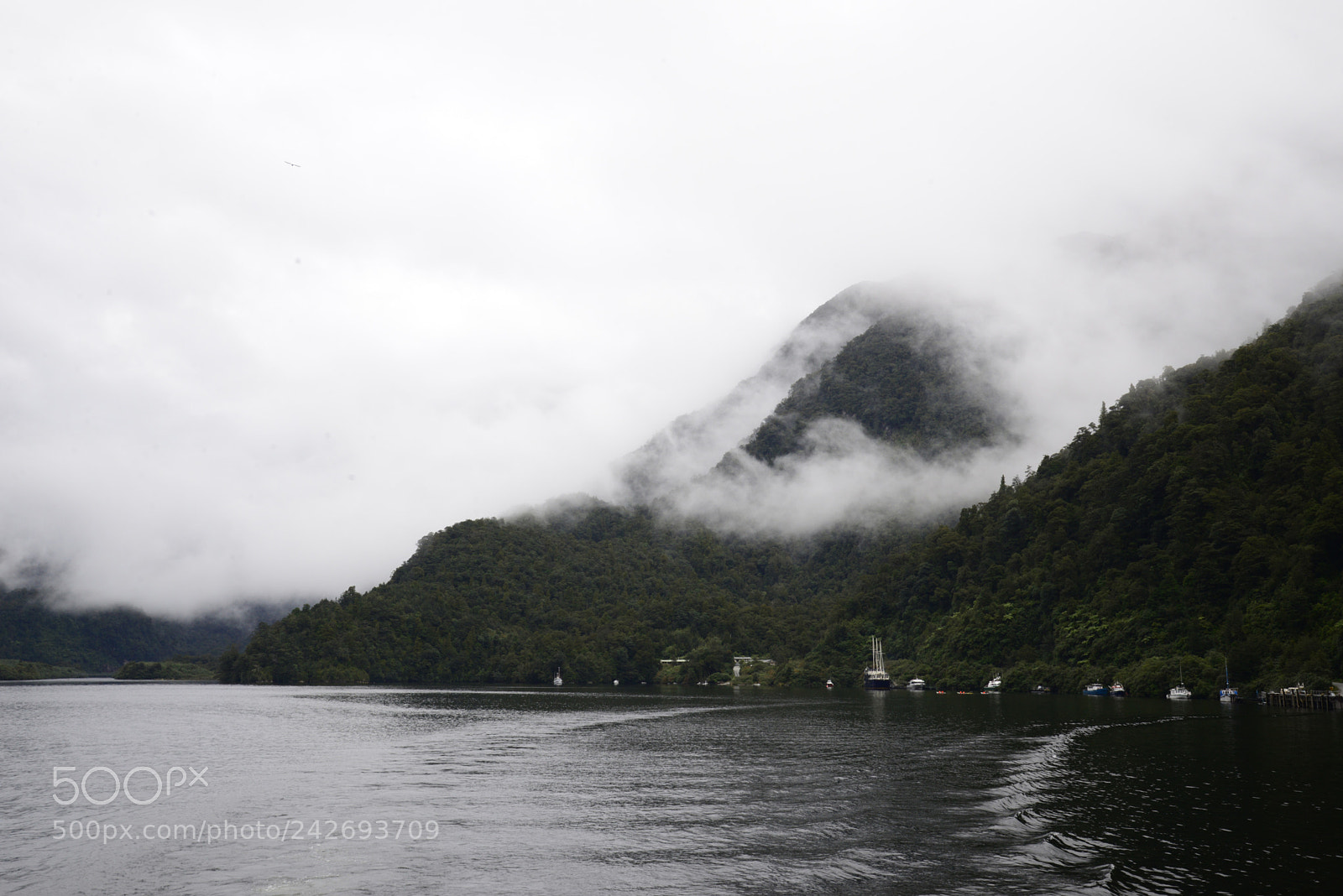 Nikon D610 sample photo. Vanishing photography