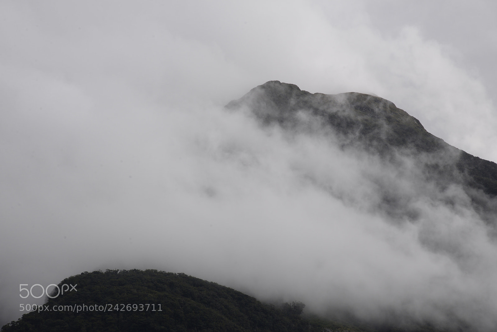 Nikon D610 sample photo. Vanishing photography