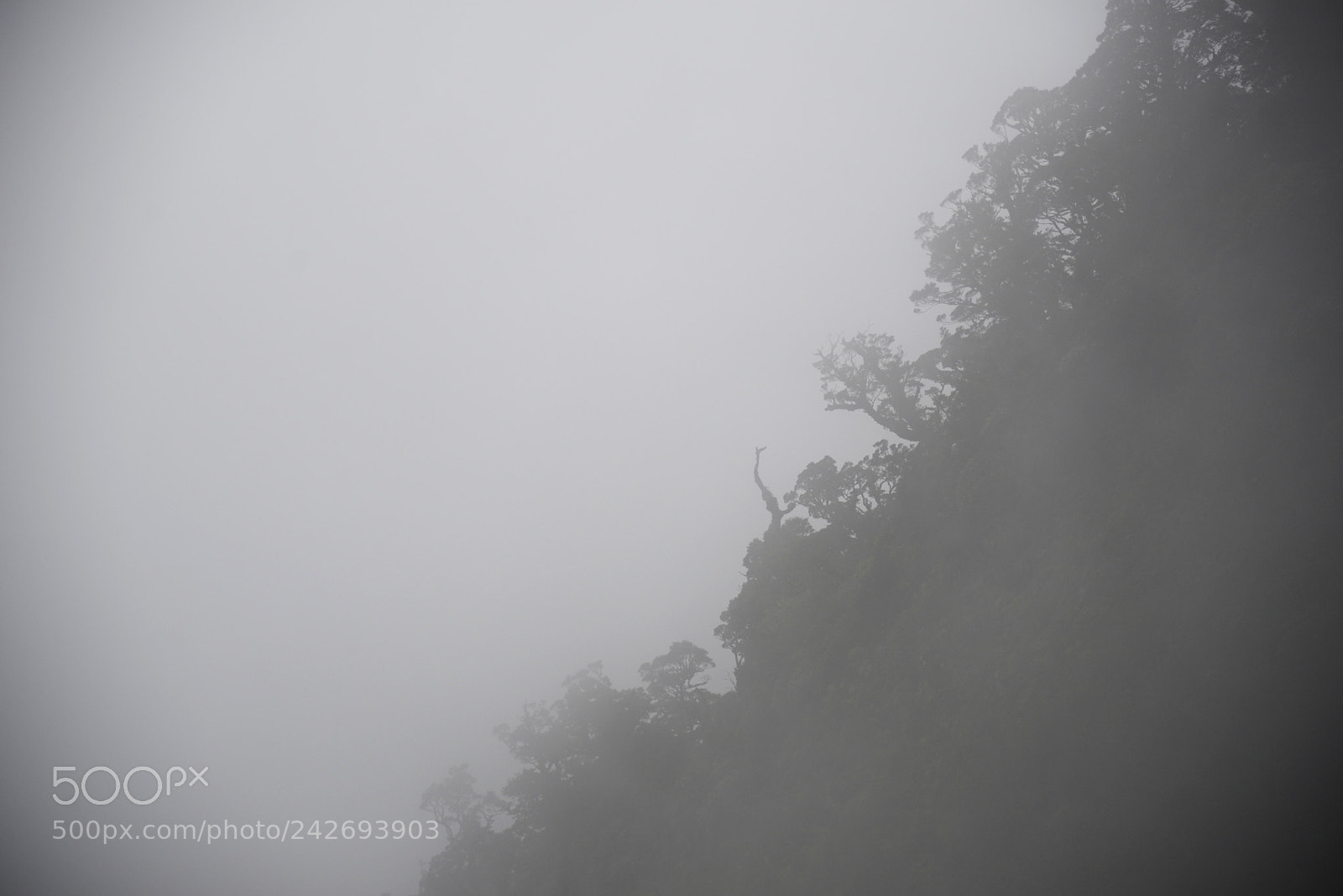 Nikon D610 sample photo. Vanishing photography
