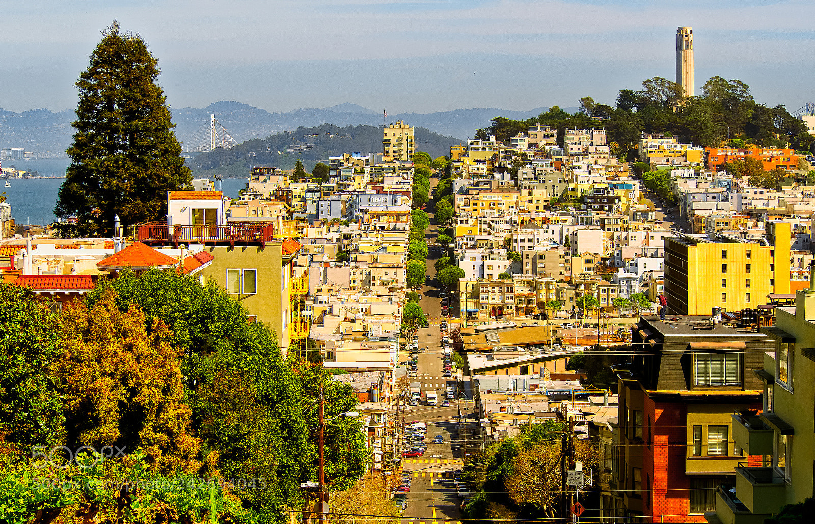 Olympus OM-D E-M1 sample photo. Lombard street photography