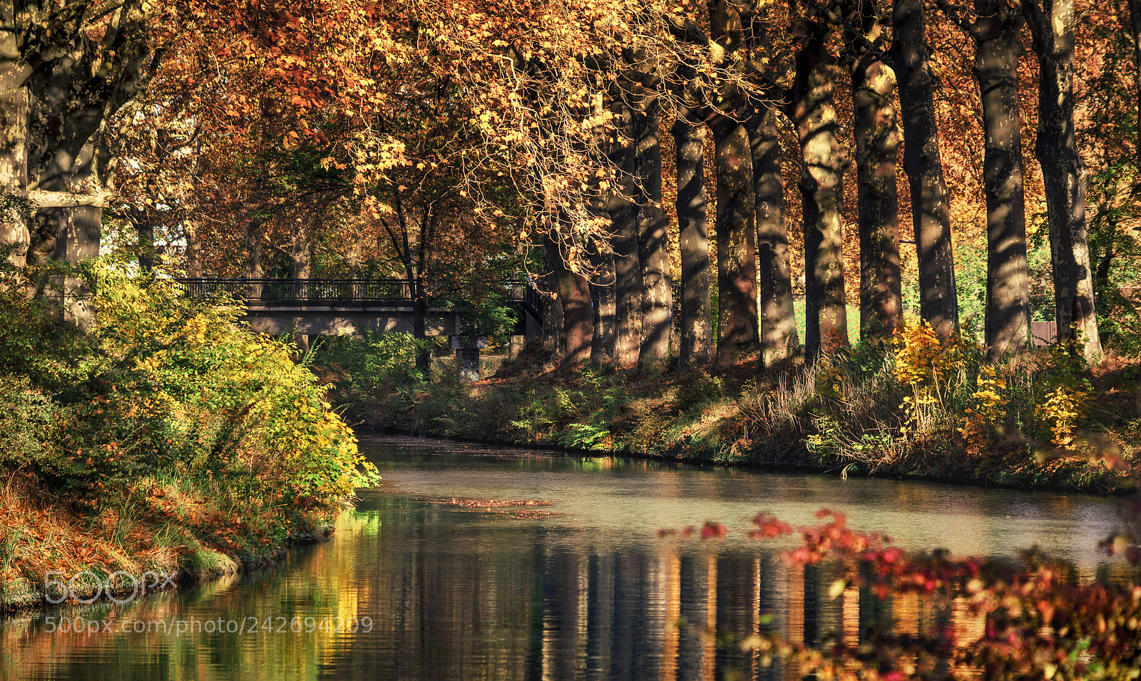 Nikon D7200 sample photo. Curve on the canal 2 photography