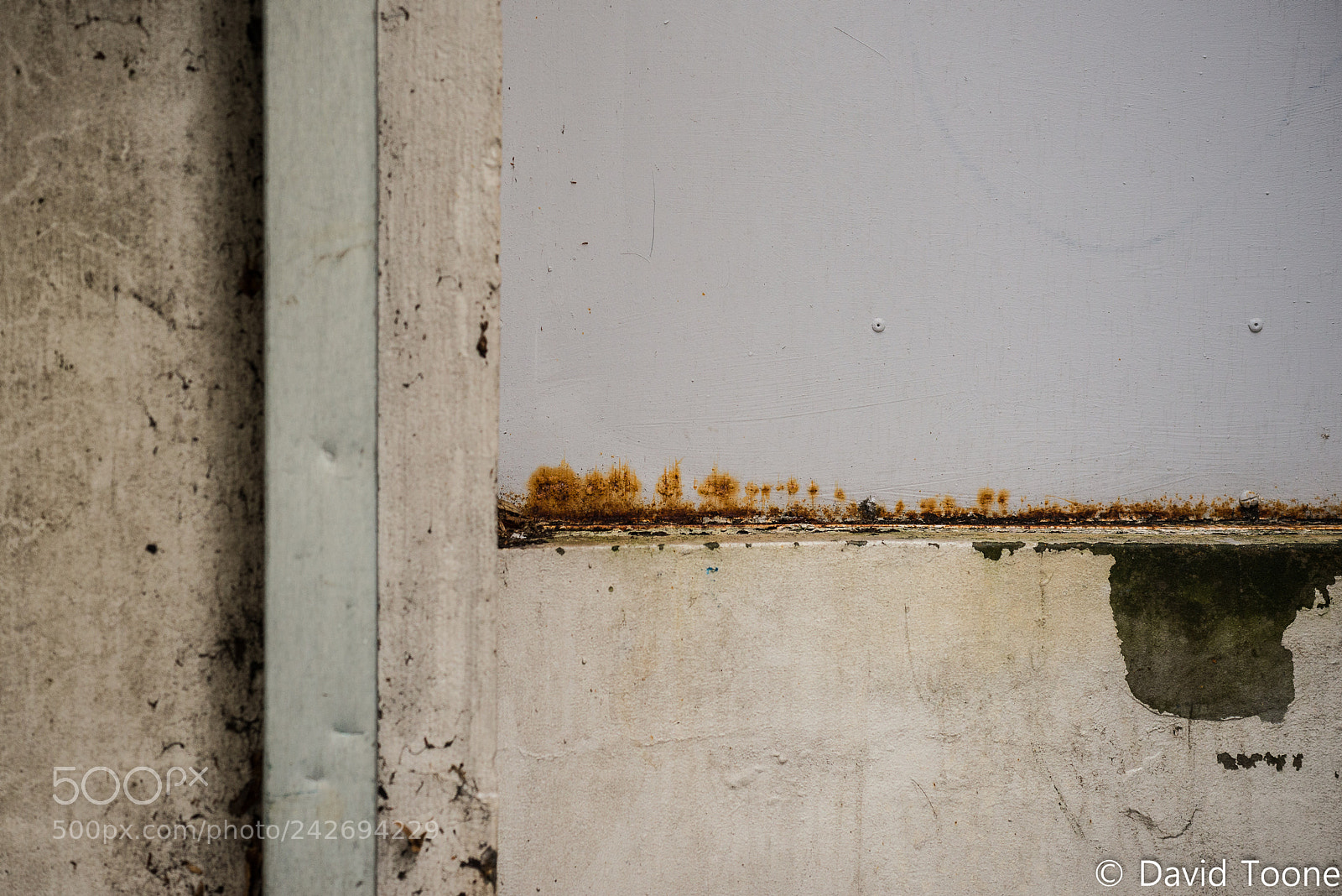 Nikon D800 sample photo. L photography