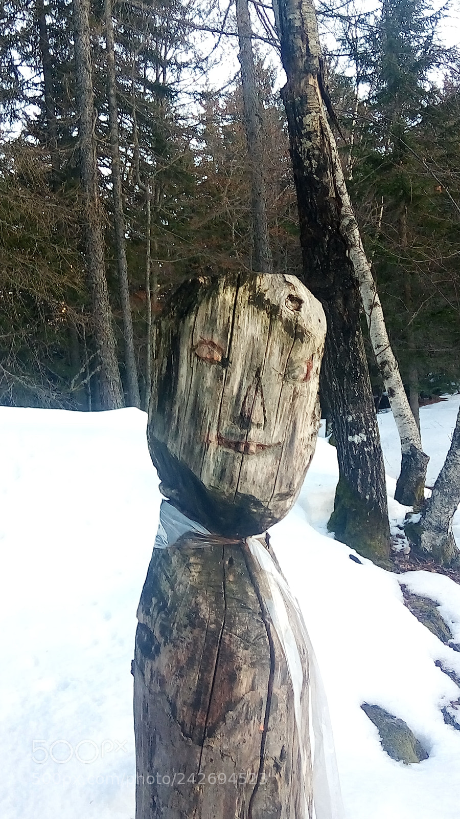 ASUS ZenFone 3 Max (ZC520TL) sample photo. Totem in the woods photography