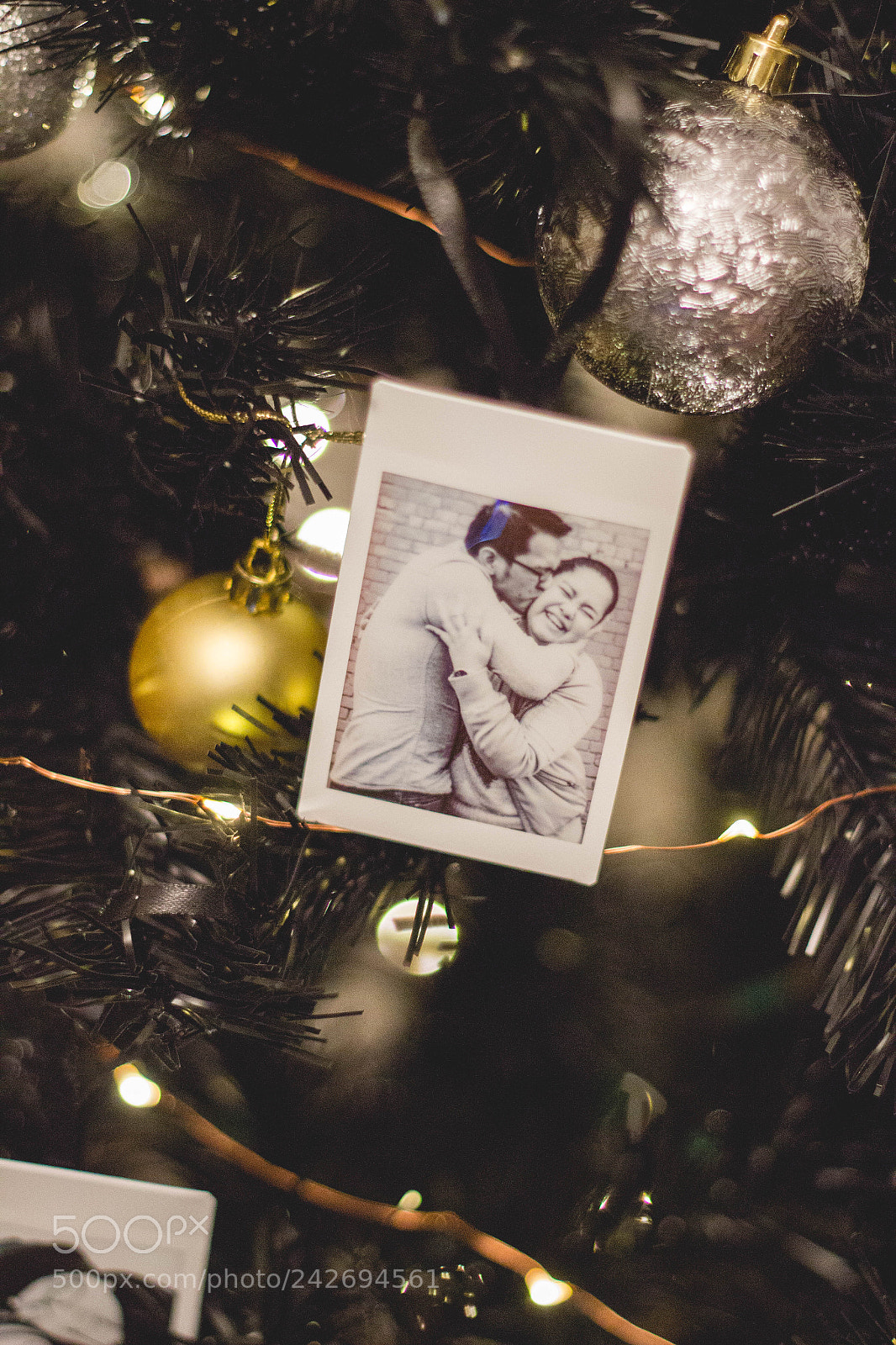 Canon EOS 550D (EOS Rebel T2i / EOS Kiss X4) sample photo. Christmas tree photography