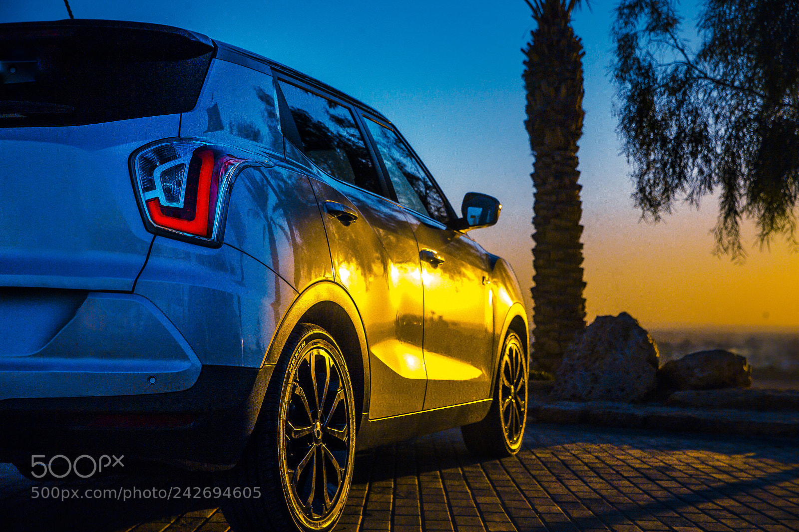 Canon EOS-1D X sample photo. Ssangyong | tivoli photography