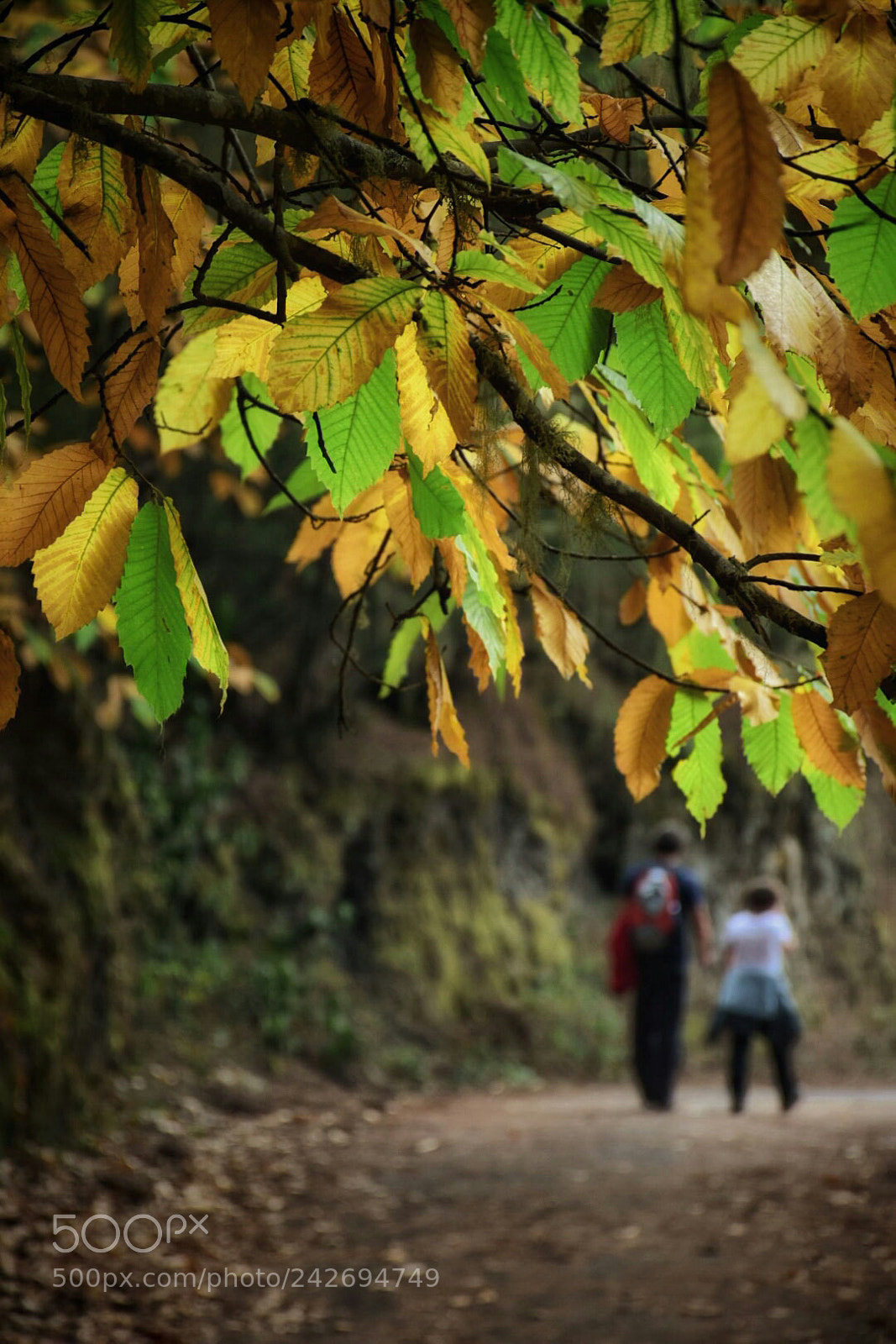 Nikon D7200 sample photo. Untitled photography