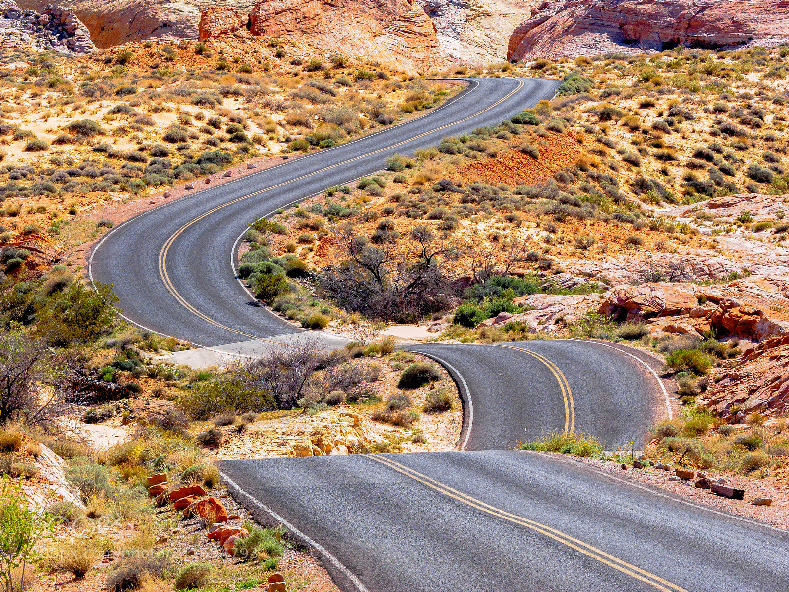 Olympus OM-D E-M1 sample photo. Road to the valley photography