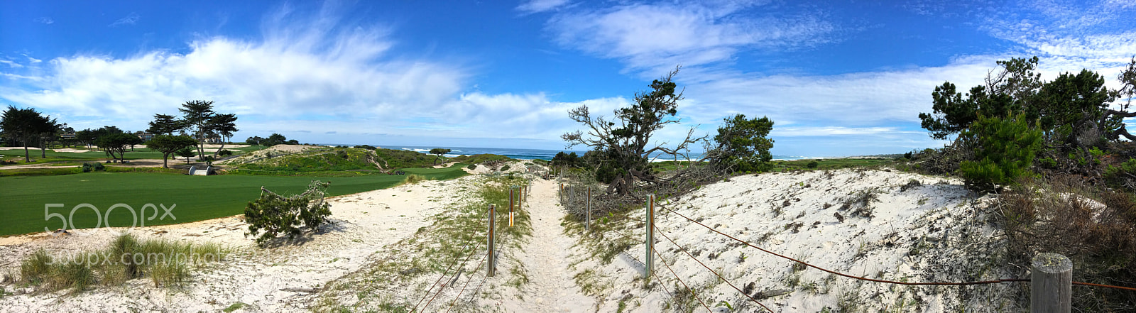 Apple iPhone 6s sample photo. Path to the pacific photography