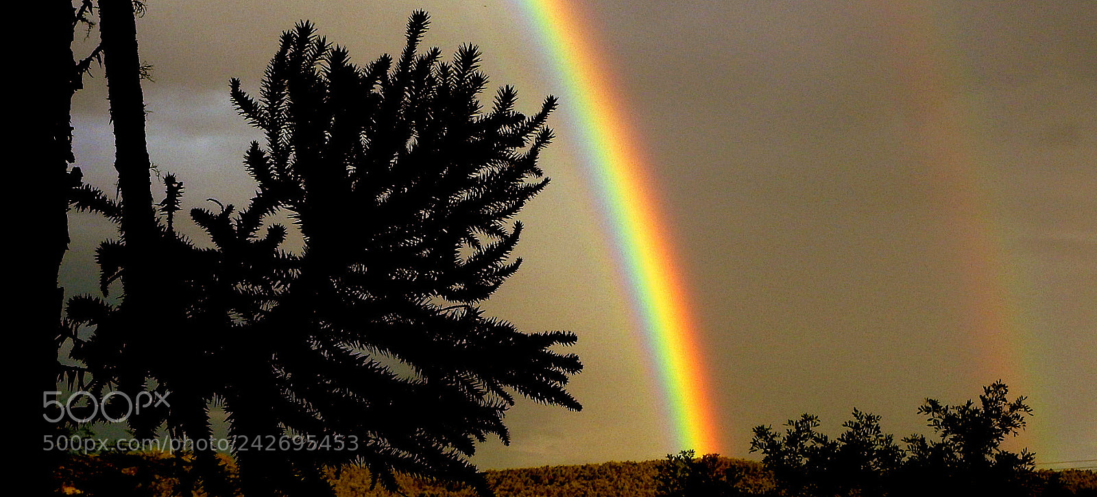 Fujifilm FinePix SL1000 sample photo. Big rainbow photography