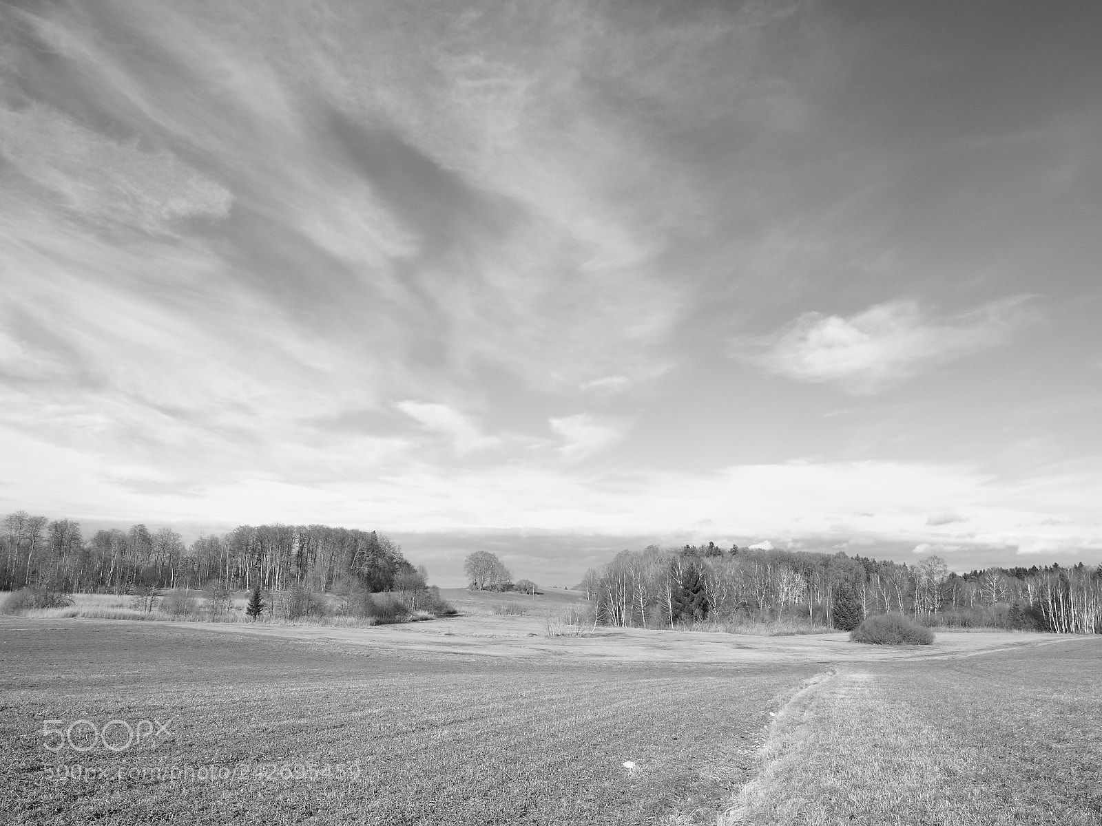 Olympus PEN-F sample photo. Winterlandschaft photography
