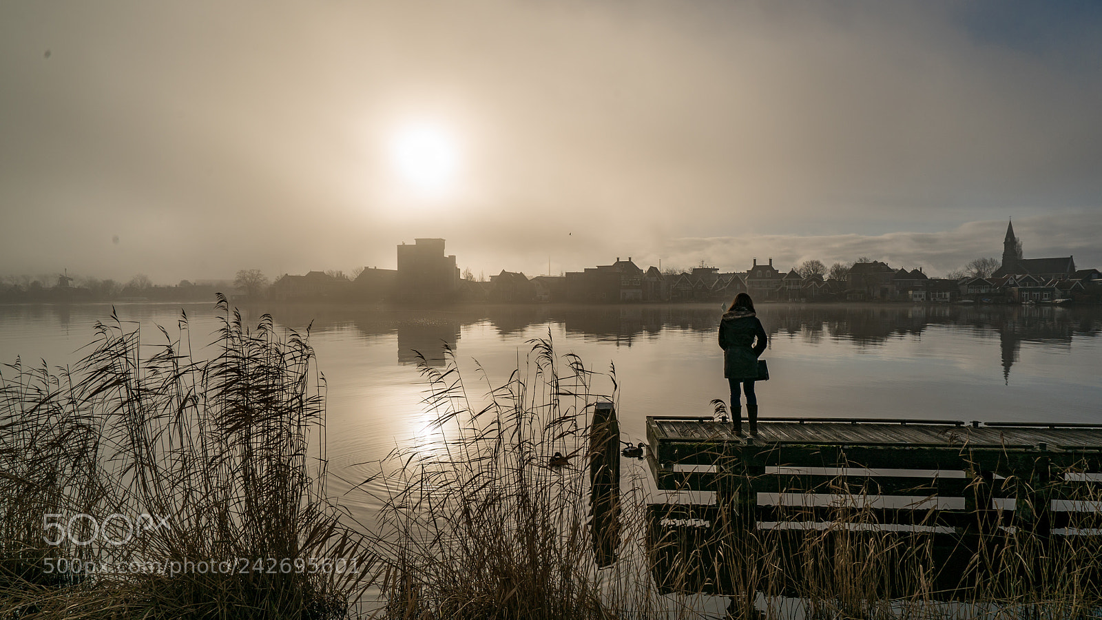 Sony a7S II sample photo. Misty zaanse schans photography
