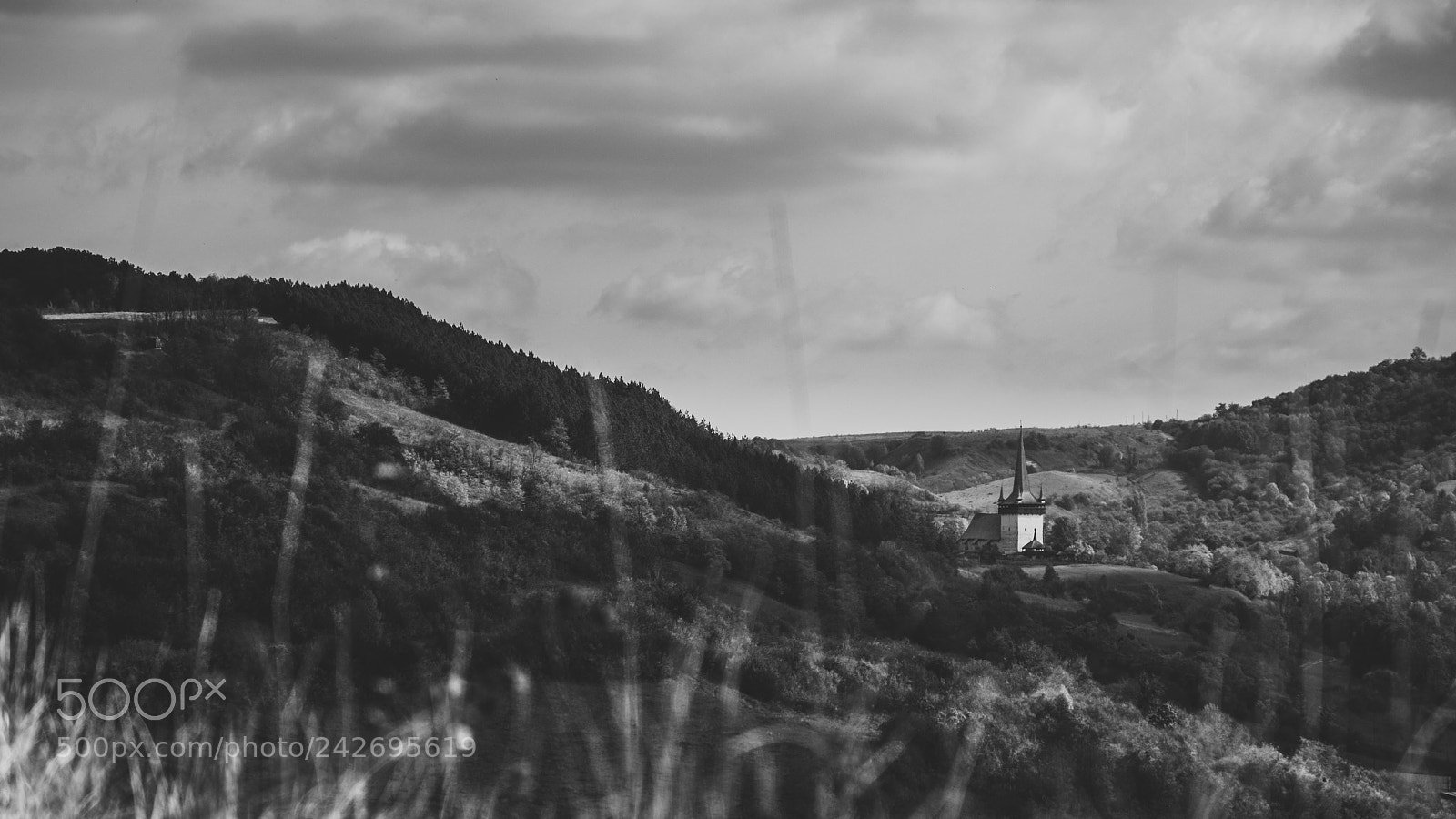 Fujifilm X-Pro1 sample photo. Through the tall grass photography