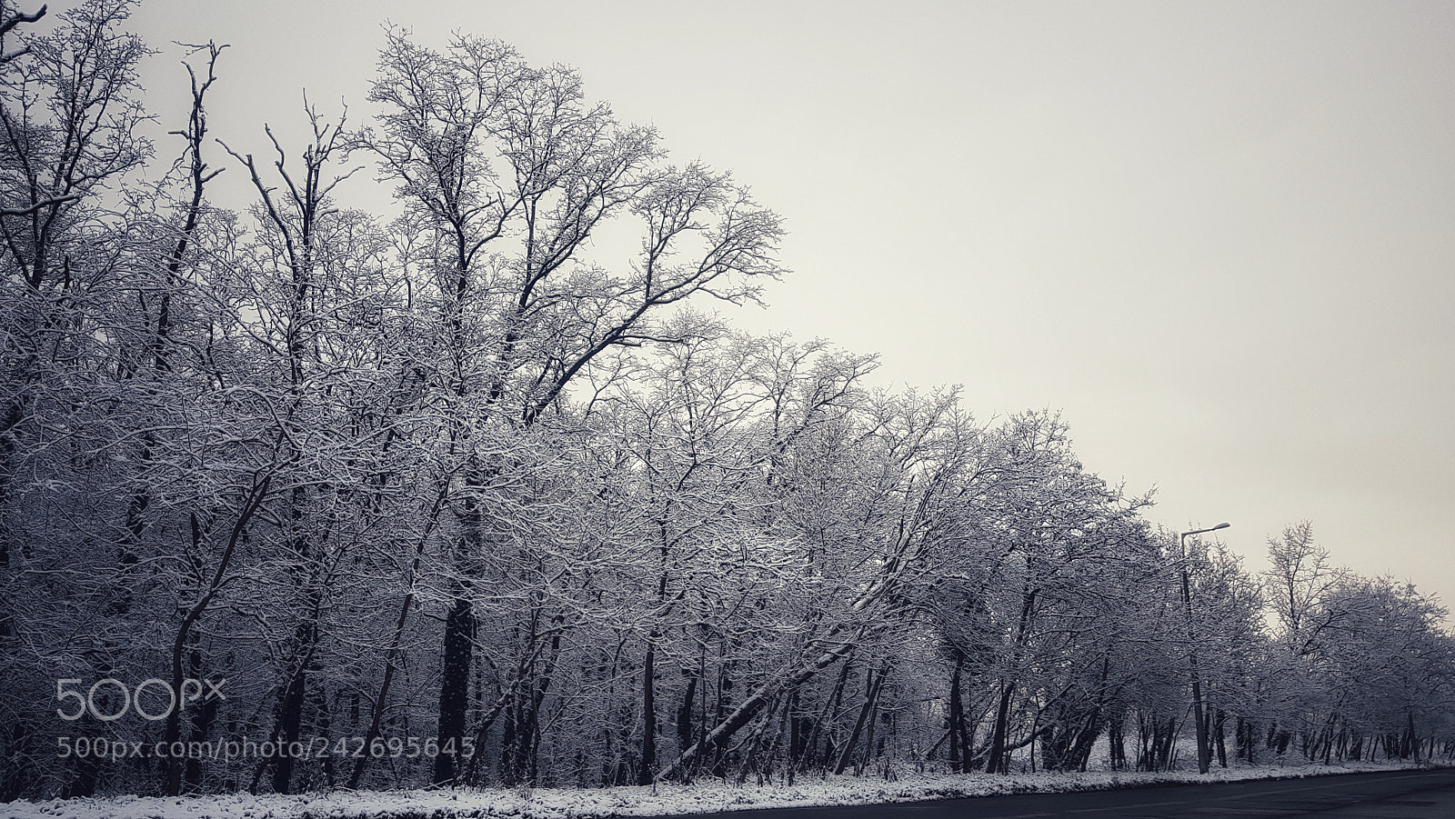 Samsung Galaxy S8+ sample photo. Winter is on photography