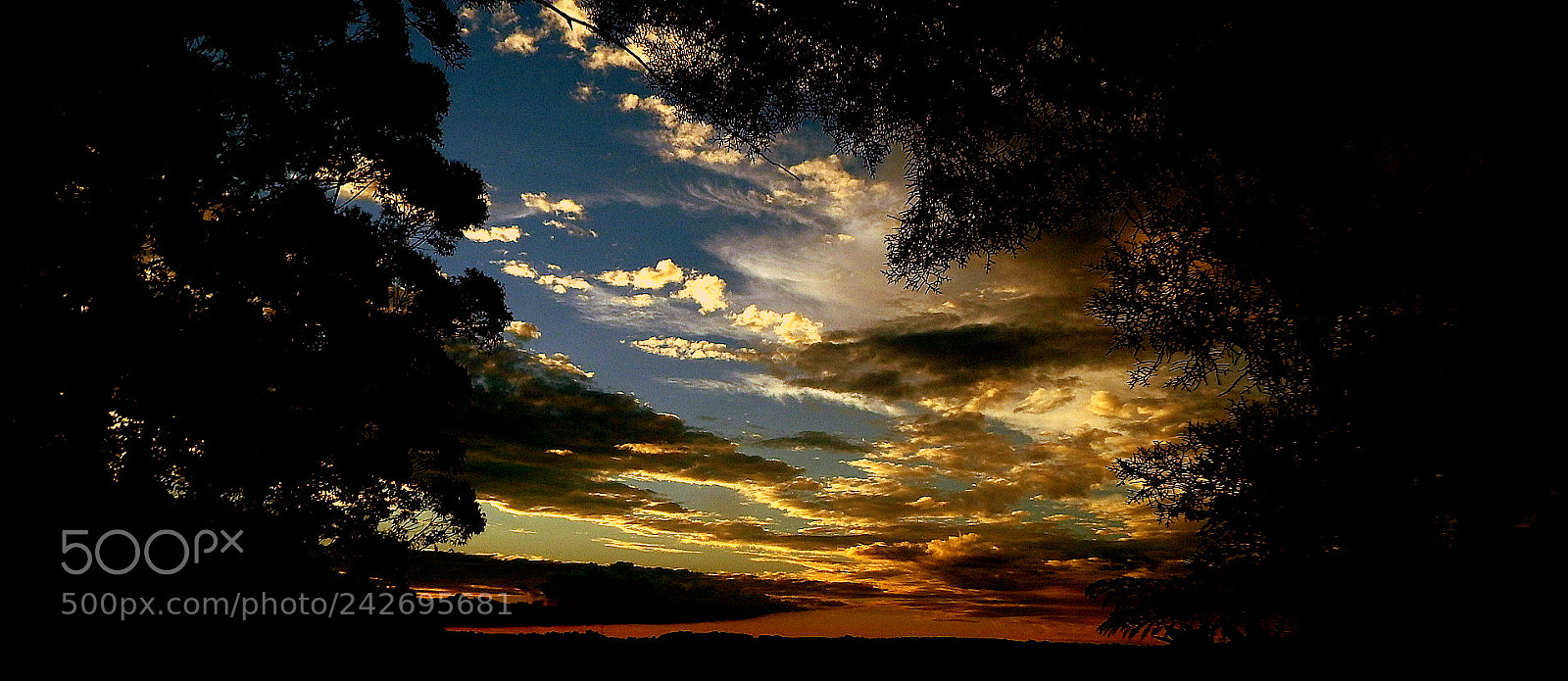 Fujifilm FinePix SL1000 sample photo. One picture ....day end photography