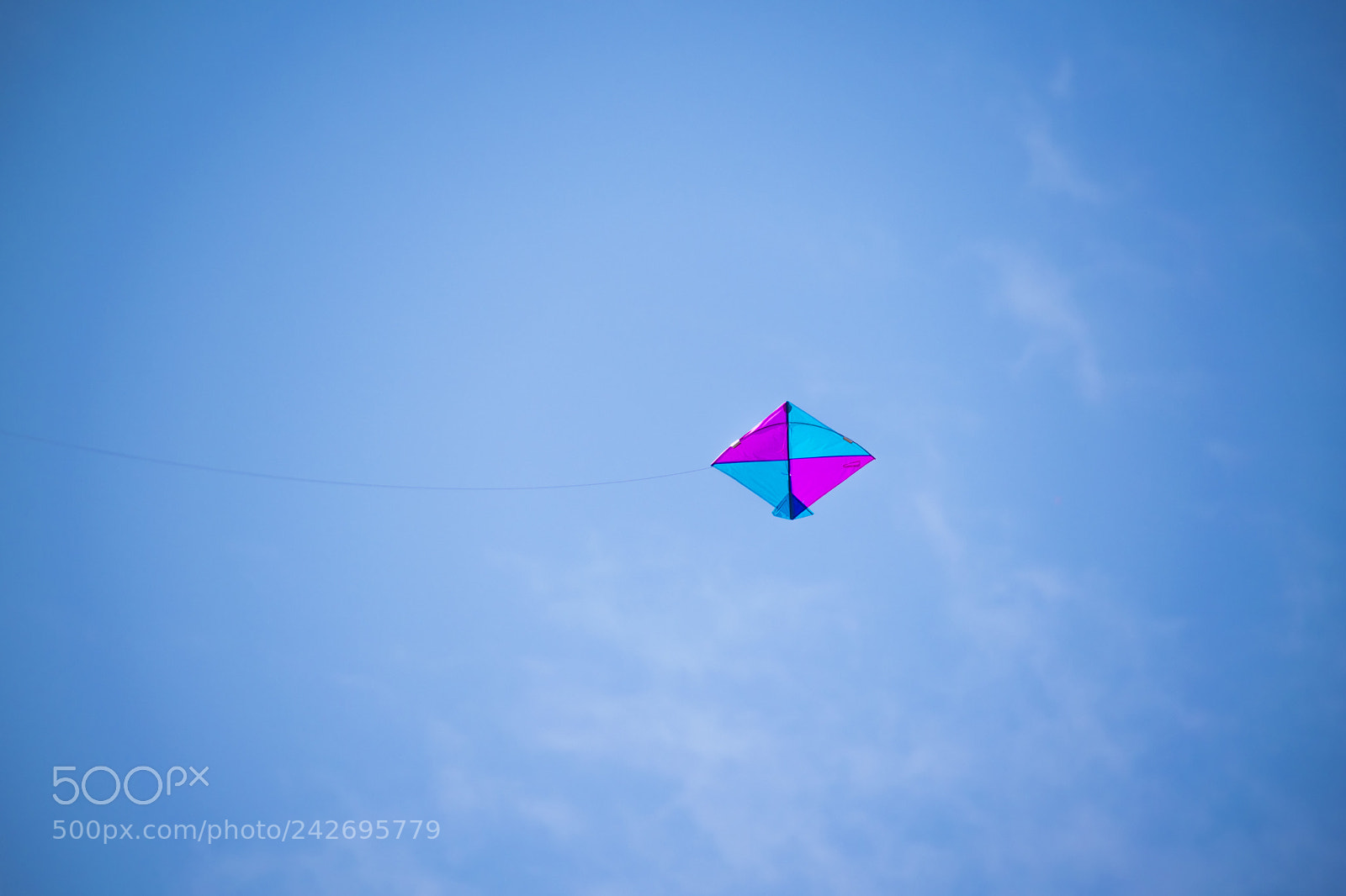 Nikon D5600 sample photo. Lone kite photography