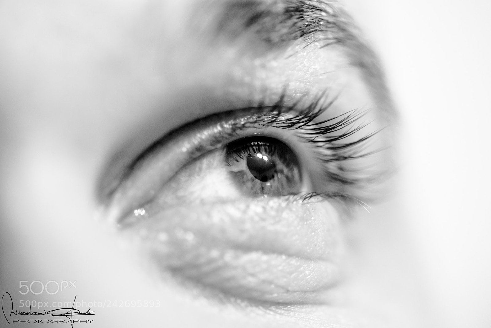 Nikon D610 sample photo. Eyes photography